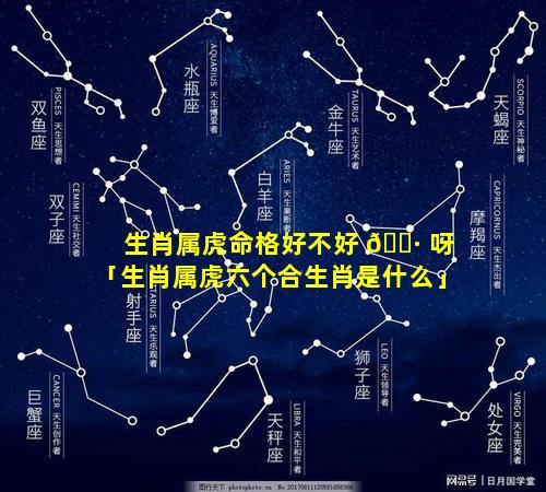 生肖属虎命格好不好 🕷 呀「生肖属虎六个合生肖是什么」
